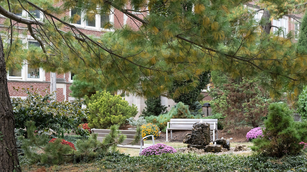 conifer garden at university of iowa