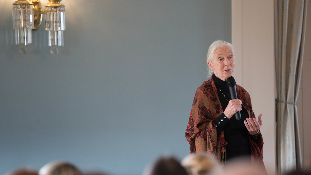 Dr. Jane Goodall speaking to a group