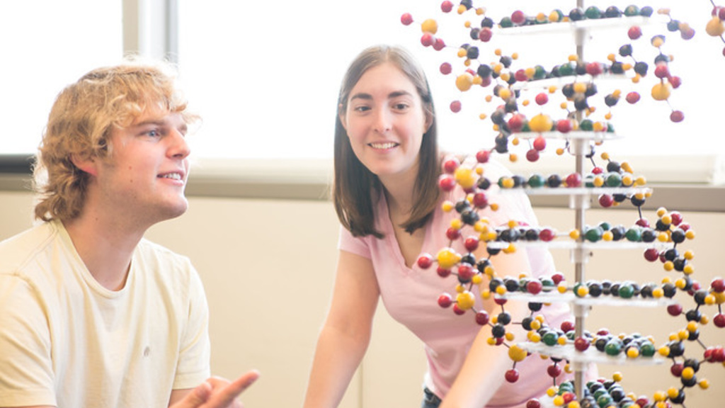 Two people looking at a model of a DNA helix