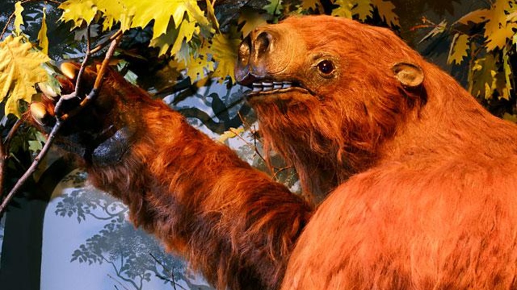 Rusty the stuffed sloth at the UI Museum of History